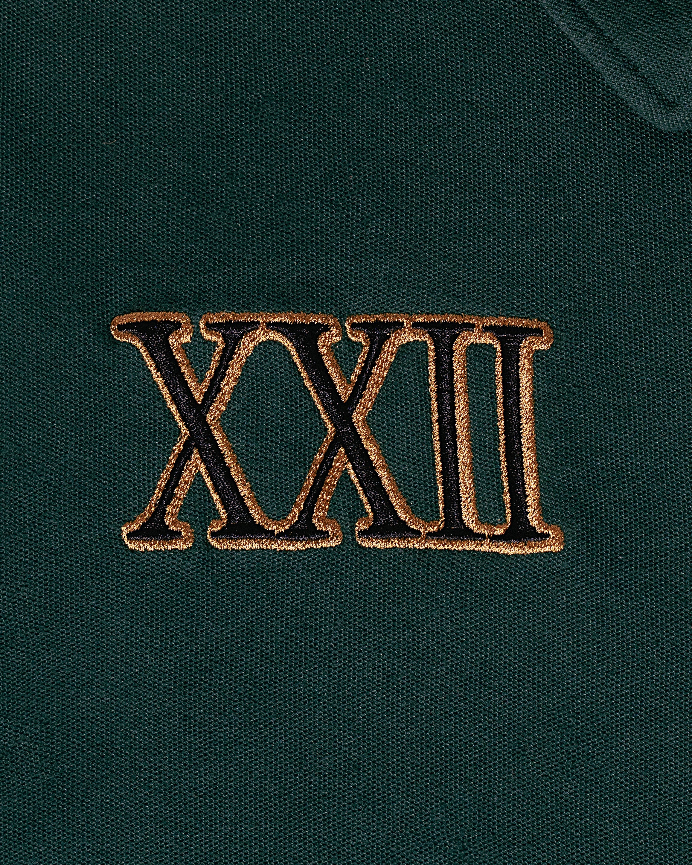 POLO Manga Larga Verde